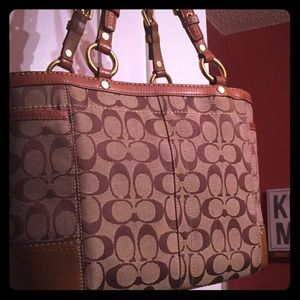 COACH LARGE SIGNATURE PURSE